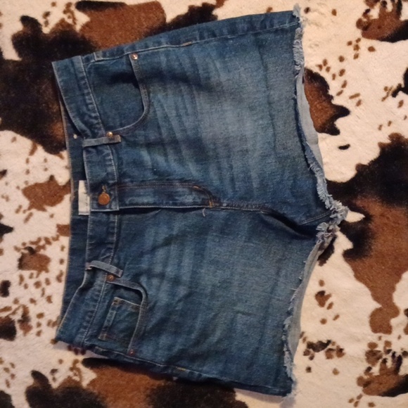 LOFT, WOMENS SHORTS, SIZE 31/12 - Picture 1 of 9